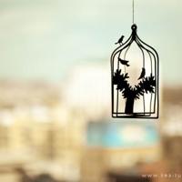 [美] 迈克尔·夏邦【月光狂想曲】- 科幻