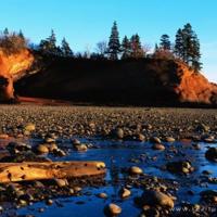 情花朵朵，爱意绵绵