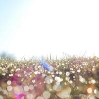 生命箴言，人生箴言，箴言妙语