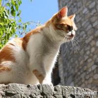 3条人际关系的潜规则，让你受用终身