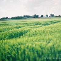 伤感个性签名，经典伤感个性签名大全