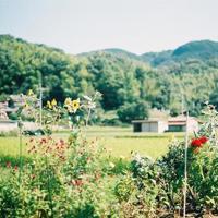 幸福,那一道温暖的颜色