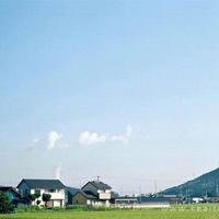 未能延续的初恋