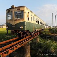 朱自清好段摘抄加点评