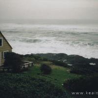 默默地关注是无声的爱