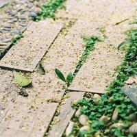 慢下来，才能品味到生活的滋味