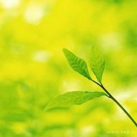 大集体时代的记忆