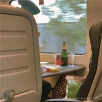 动物的互相嘲笑和暗恋