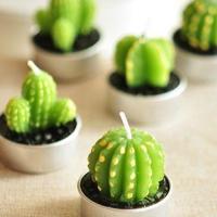 九十九段精彩的人生感悟（五）