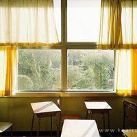 有颗不善用言词表达的心 一颗最爱我的心