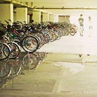 清欢如是，花开可曾相似