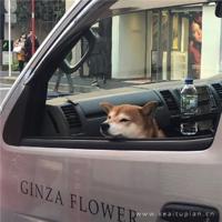 别让自己的心太累