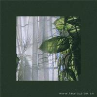 马云的励志经典语句 我们必须在别人改变之前先改变自己