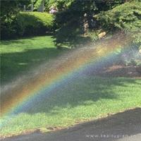 不和现实较真，因为还要继续。