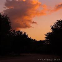 苏子熙：你能有多坚强，又没比别人多一颗心脏。