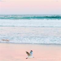 我曾如此念旧 岁月那般无情