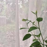 形容女人漂亮的词语，形容美女的成语，夸人的词语