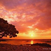 65年,爱你一如年少