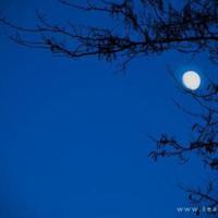 为什么真心的人到最后伤的最深？