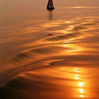 伤感美文美句摘抄