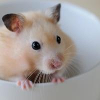 我觉得好我就赞散文