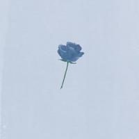 鲁鲁修经典语录