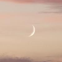 祭母系列24学会平衡的艺术