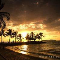 闲说眼前花之人散文