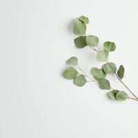 激励人正能量的句子,献给正在追逐梦想路上的你