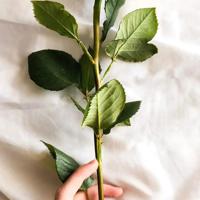 医院里面的冤死鬼