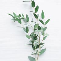 逗得我眼泪都笑出来了