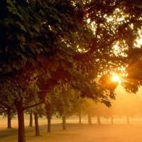 描写春暖花开的句子