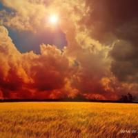 杂记:追忆回不去的过去