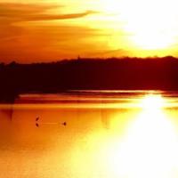 下辈子，你不要再做我的孩子