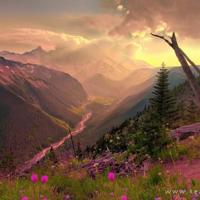 女人口述:一时着魔和陌生人出轨