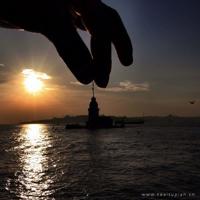 年年岁岁花相似,岁岁年年人不同