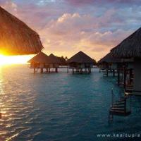 冬终将过去，春天即将到来临