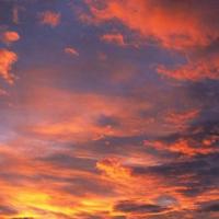 深藏在心底的仇恨