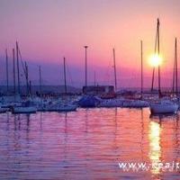 我怎么还是放不下你