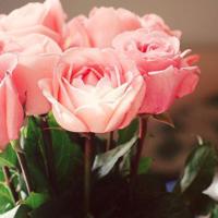 又是杏黄麦收时