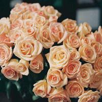 佛说人生感悟的句子 治愈系佛说人生感悟的句子