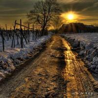 日本老太老熟妇 肥水不流外人田1全文