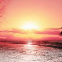 人生的路不好走,该低头时要低头