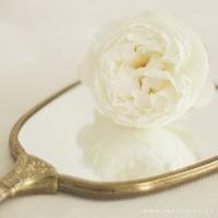 爆笑风趣俏皮话不用跟我介绍车，我是来看车模的！