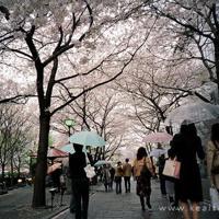 其实，爱情只是个伪命题