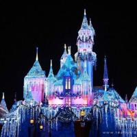 这个时节不合适爱情