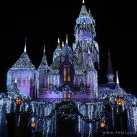 胜利了，我们更加珍爱和平（纪念抗日战争胜利70周年）