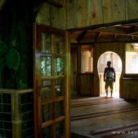 十一路:你说何必眷恋,却不知某年某月的某一个转身,我答应不再爱你,却忘了答应我自己