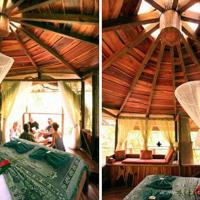 花落岁月无声散文欣赏