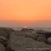 我当公婆的“双面胶”